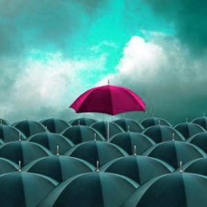 Rise Above the Competition